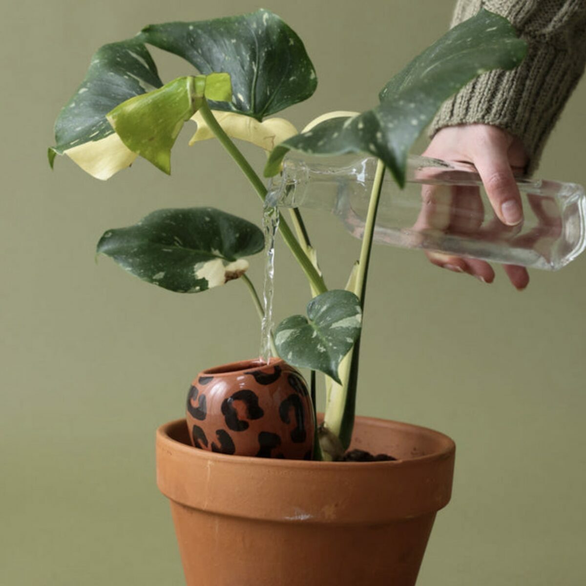 Olla individuelle Pépin motif léopard marron et brun, système d'arrosage par porosité.