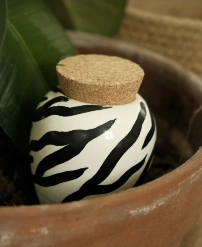 Olla à rayures noires et blanches Pépin installée dans un pot de plante d'intérieur pour l'arrosage autonome.