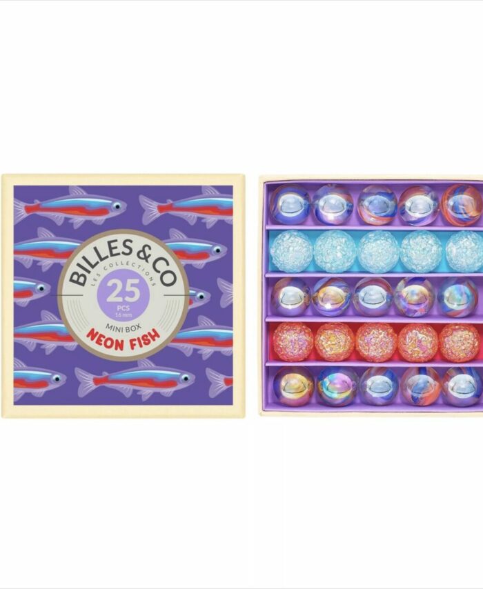Coffret de 25 billes multicolores Billes & Co. présenté dans une boîte compartimentée avec des illustrations artistiques.