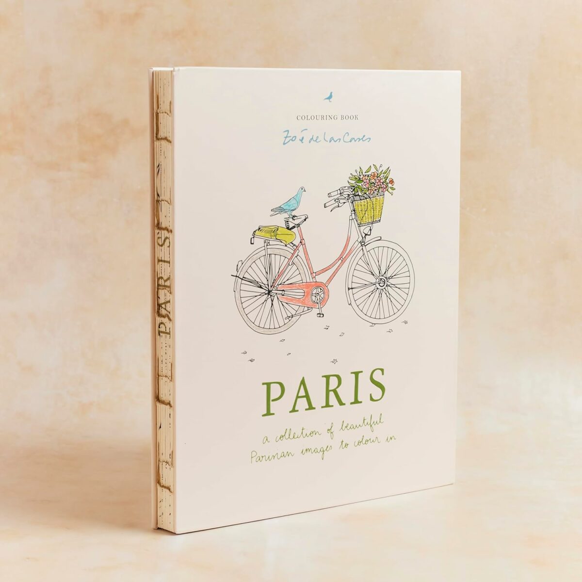 Carnet de coloriage Paris de Zoé de las Cases – couverture avec illustration d’un vélo rose et panier fleuri, éditions Mitchell Beazley