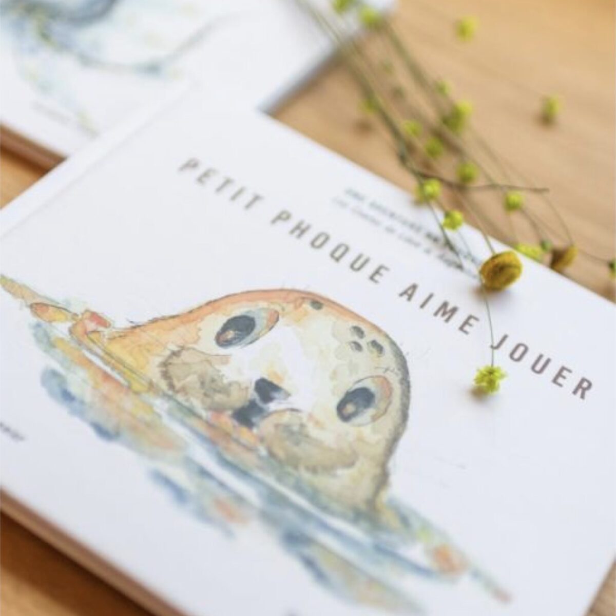 Livre jeunesse Petit Phoque aime jouer des Contes de Léon et Augustine posé sur une table en bois clair avec fleurs séchées jaunes, couverture blanche avec illustration aquarelle d’un phoque aux grands yeux émergeant de l’eau